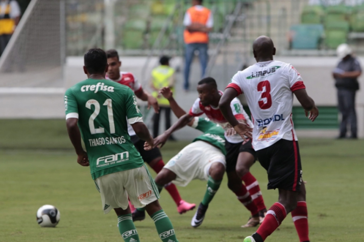 Campeonato Paulista - Palmeiras x Linense (foto:Reginaldo Castro/LANCE!Press)