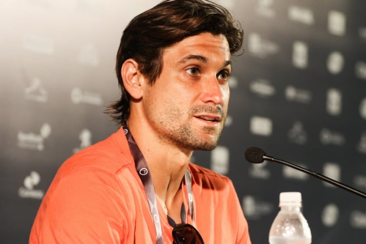 David Ferrer