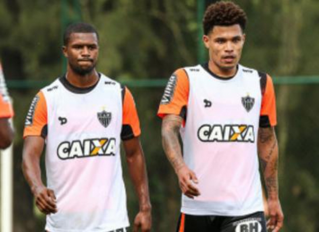 Urso (Foto: Divulgação/Site do CAM)