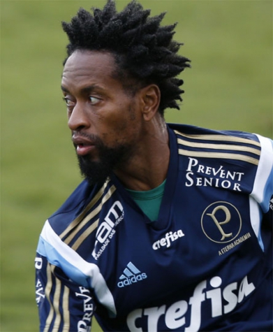 Zé Roberto garante que jogará Libertadores pelo Verdão em 2016
