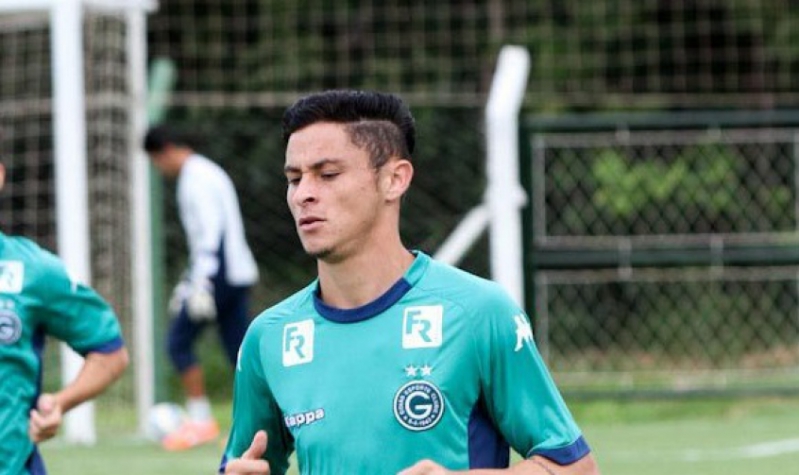 Goías permanece a um ponto de zair da zona de rebaixamento (Foto: Divulgação/Site Estádio Serra Dourada)