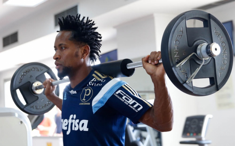 Zé Roberto já aprova ano do Palmeiras: 'Da água para o vinho'