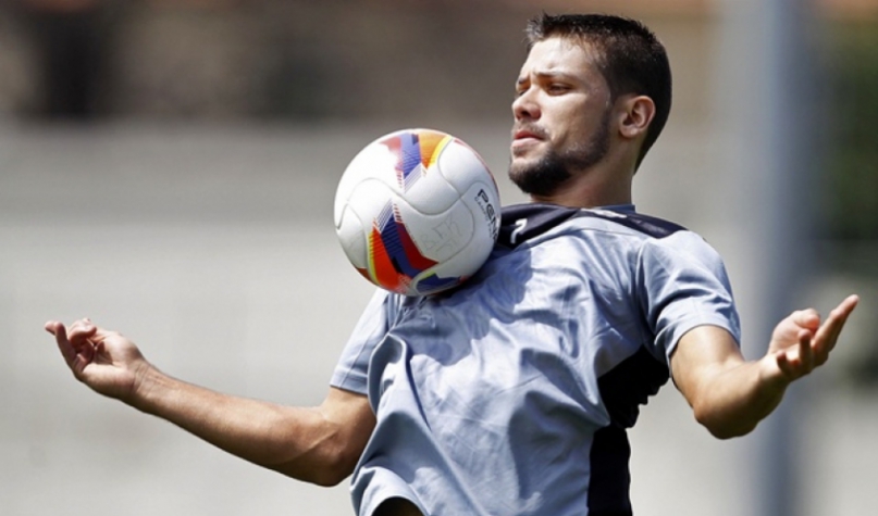 Diego Giaretta (Foto: Divulgação/Botafogo)