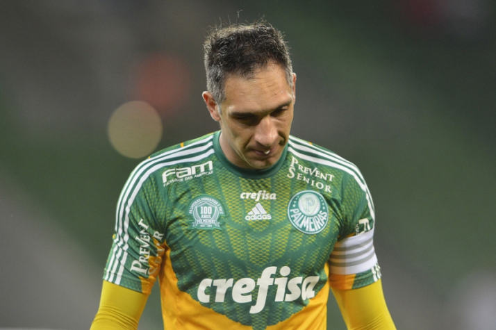 Palmeiras x Cruzeiro (Foto: Mauro Horita/Lancepress!)
