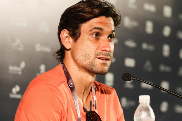 David Ferrer