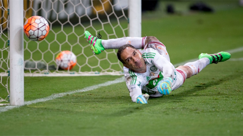 HOME - Palmeiras x Rosario Central - Copa Libertadores - Fernando Prass (Foto: Marcelo Machado de Melo/Fotoarena/LANCE!Press)