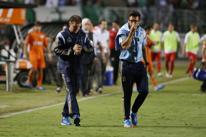 Campeonato Paulista - Palmeiras x Red Bull Brasil (foto:Eduardo Viana/LANCE!Press)