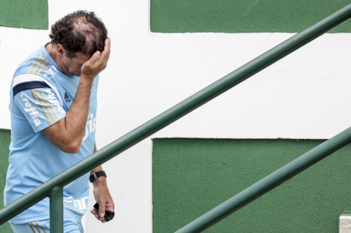 Treino do Palmeiras