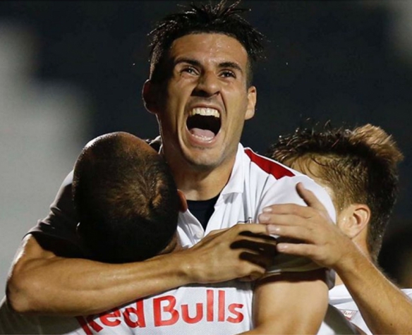 red bull x novorizontino