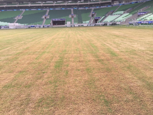 Allianz Parque