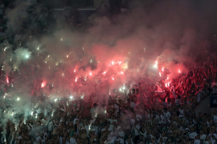 Campeonato Paulista - Palmeiras x São Bernado (foto:Ale Cabral/LANCE!Press)