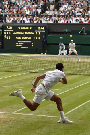 Murray x Tsonga