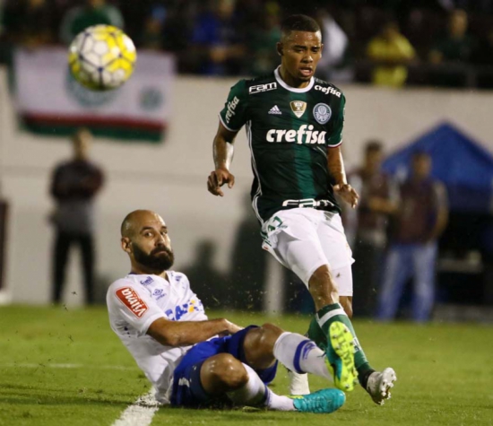 Cruzeiro x Palmeiras (Foto:Celio Messias/Lance!press)