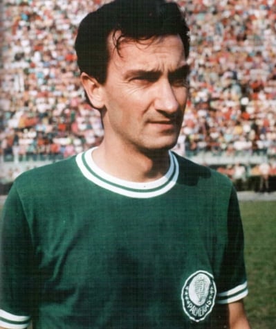 Dudu em ação pelo Palmeiras