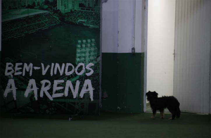 CHAPECOENSE X ATLETICO MG