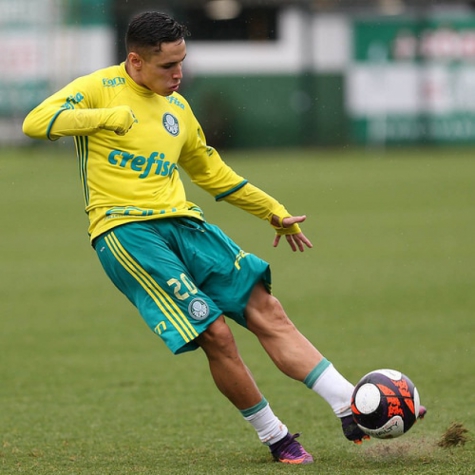 Felipe Melo, Veiga e Willian vão bem na vitória do Verdão em jogo-treino