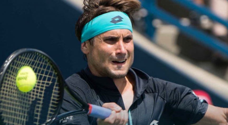 David Ferrer