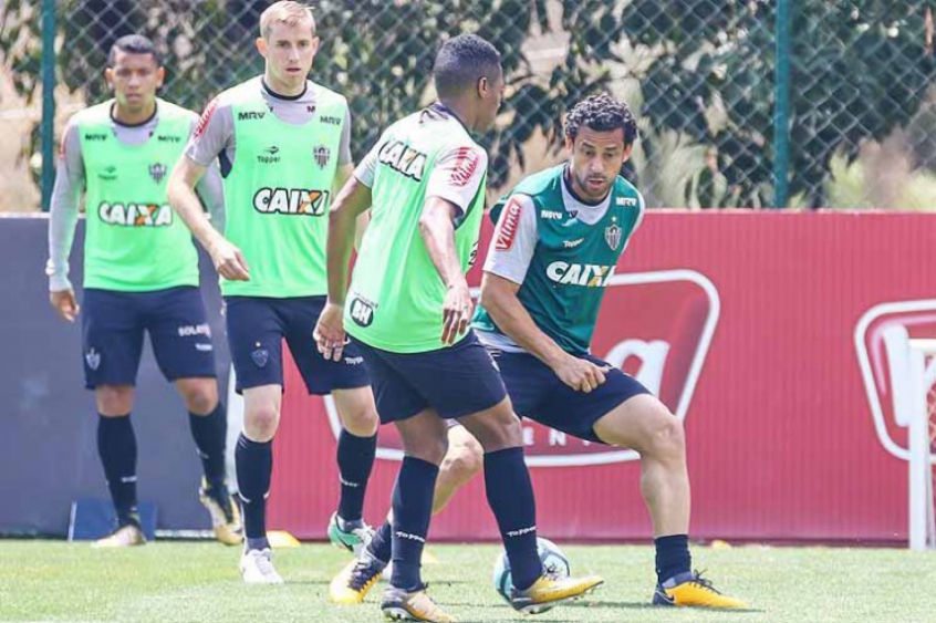Treino Galo