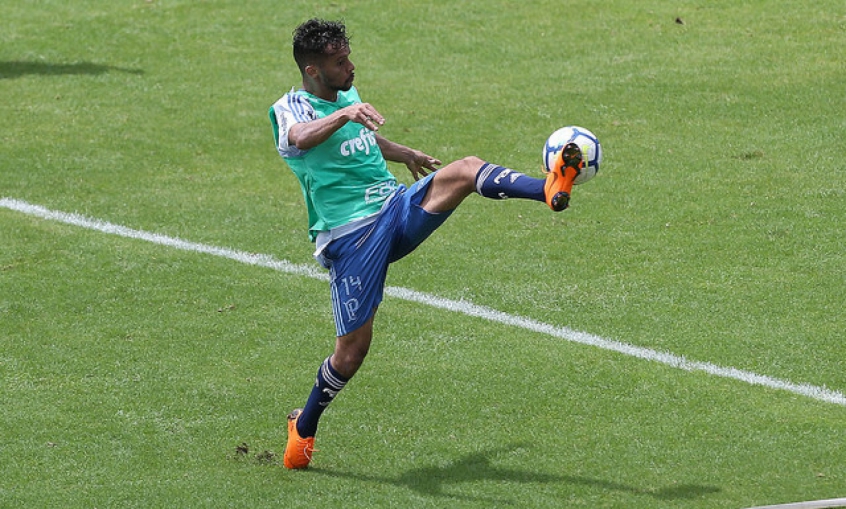 Gustavo Scarpa