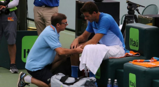 Juan Martin Del Potro
