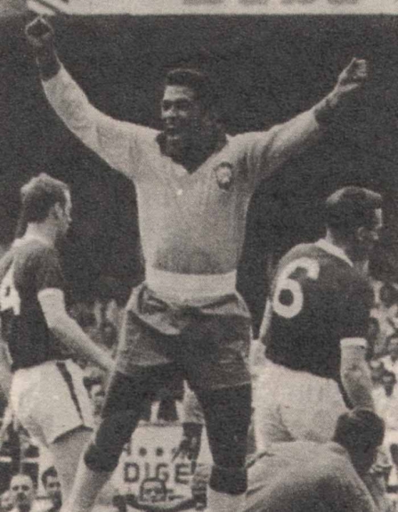 Garrincha - Seleção