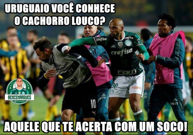 Os melhores memes da guerra do Palmeiras contra o Peñarol, em Montevidéu