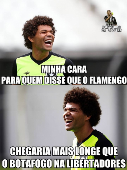 Os melhores memes da classificação do Botafogo na Libertadores