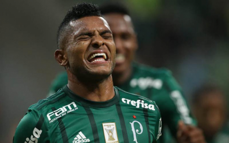 Borja - Palmeiras