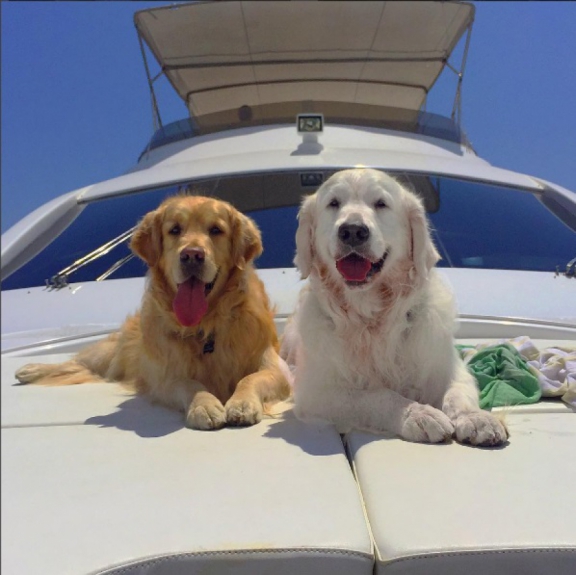 Atom e Humber - Alexis Sanchez