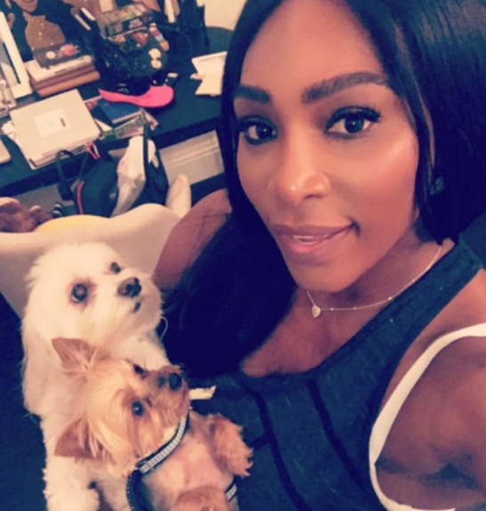 Chip - Serena Williams
