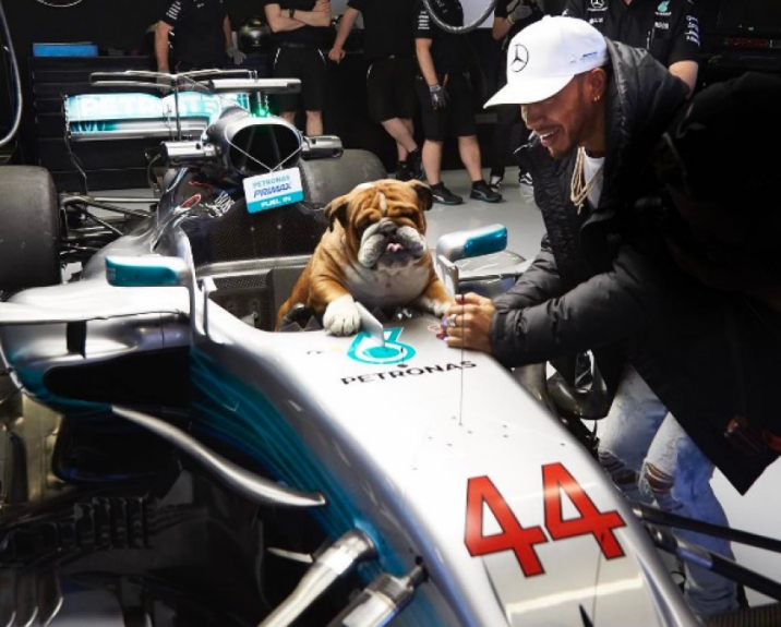 Roscoe - Lewis Hamilton