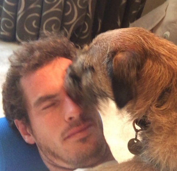 Maggie May - Andy Murray
