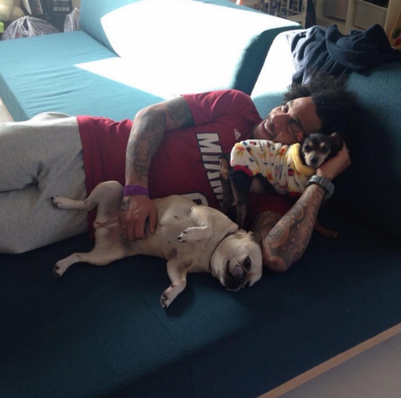 Marcelo tem seis cachorros
