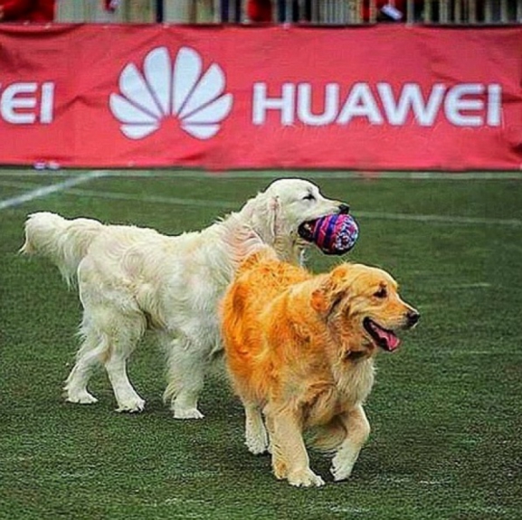 Atom e Humber - Alexis Sanchez