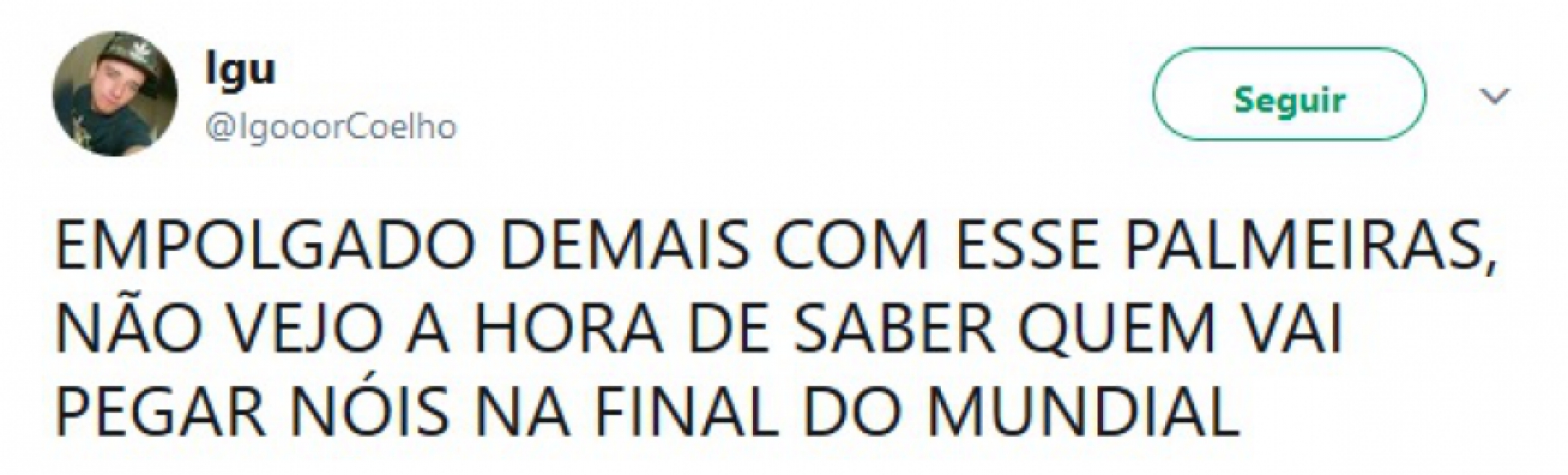 Torcedores do Palmeiras sonhavam com a final do Mundial de Clubes