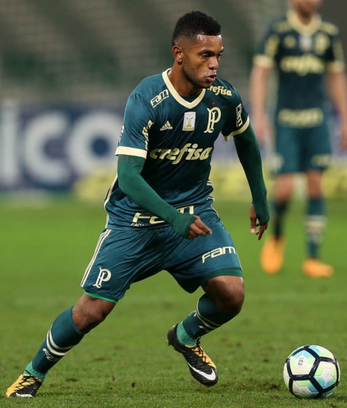 Borja - Palmeiras