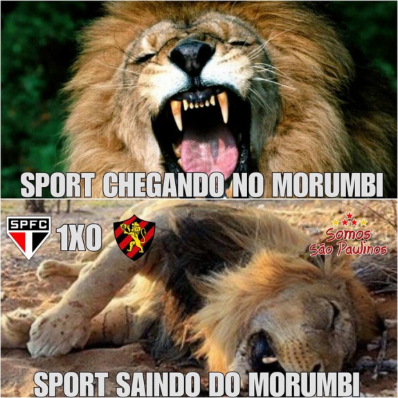 Os melhores memes da vitória do São Paulo diante do Sport