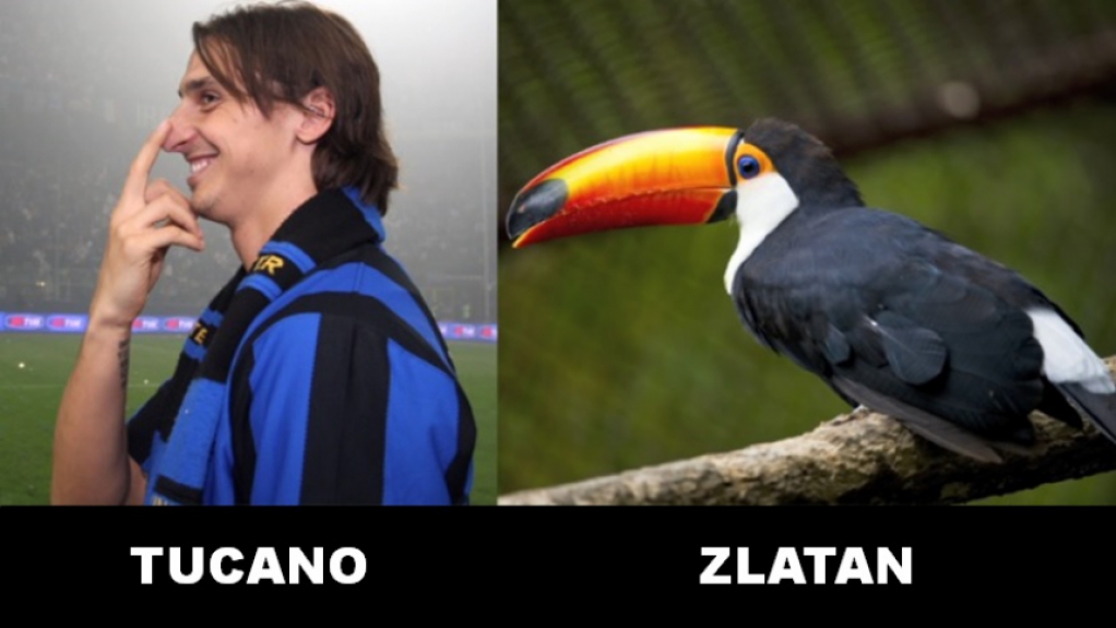 5 - Zlatan Ibrahimovic