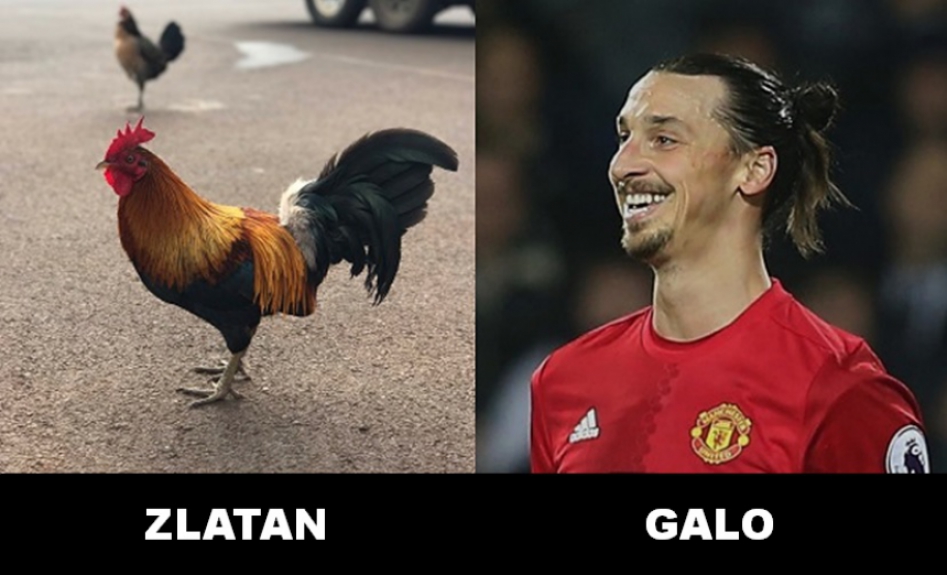 5 - Zlatan Ibrahimovic