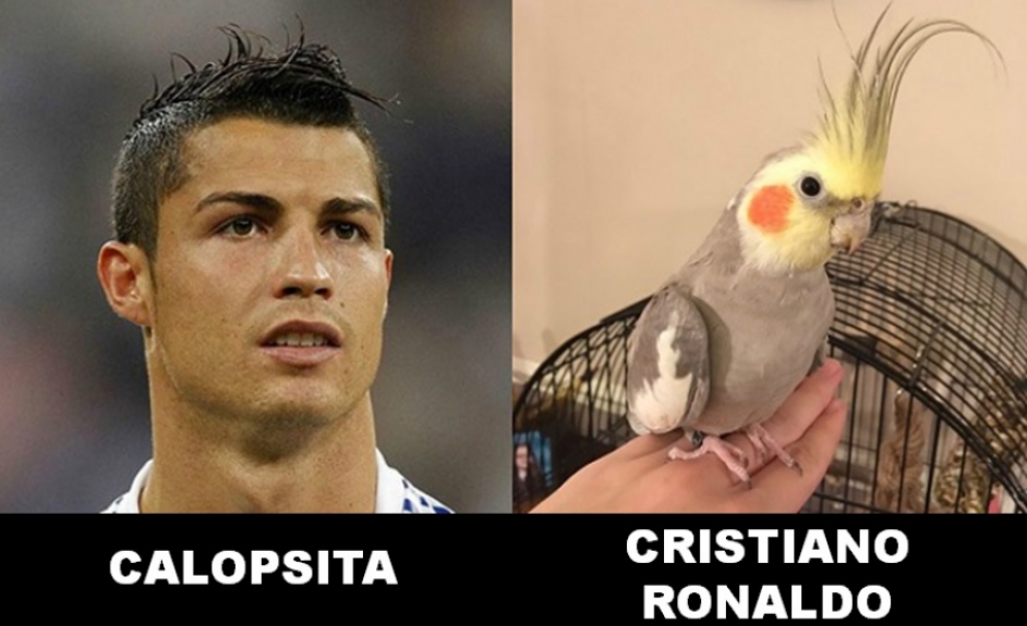 8 - Cristiano Ronaldo