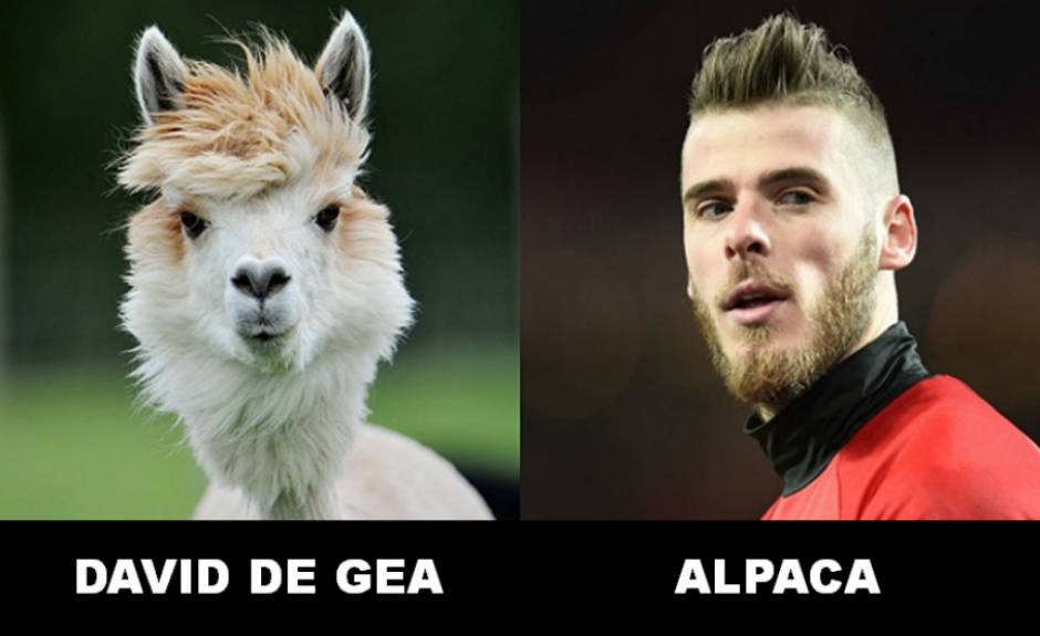 10 - David de Gea