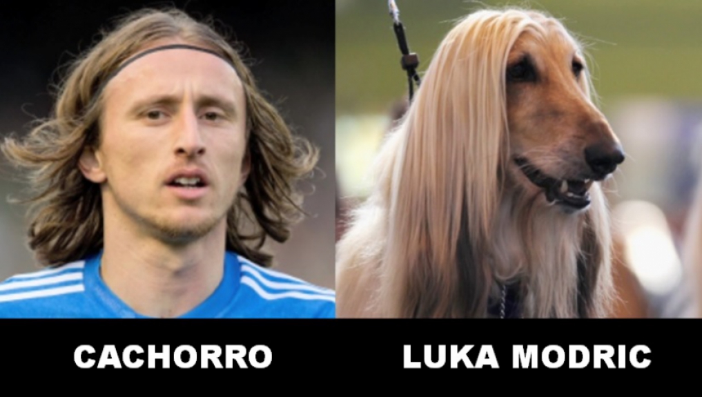 12 - Luka Modric