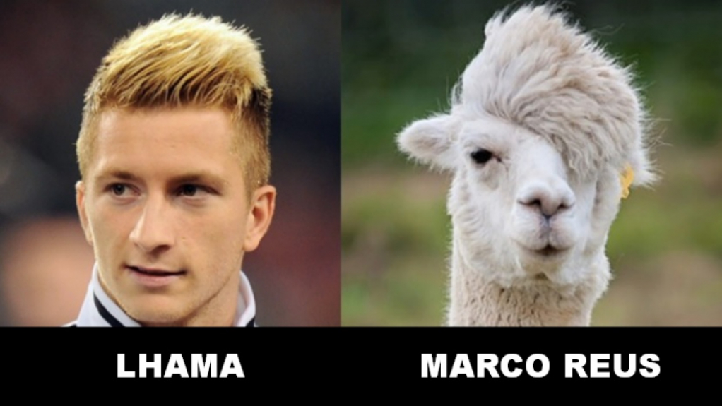 13 - Marco Reus