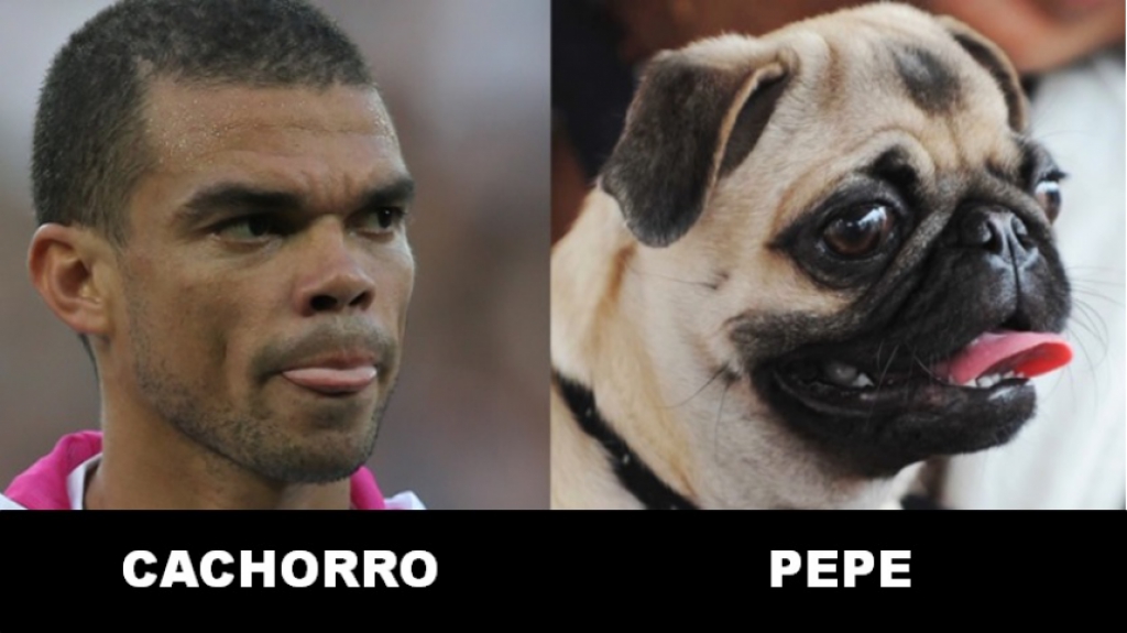16 - Pepe