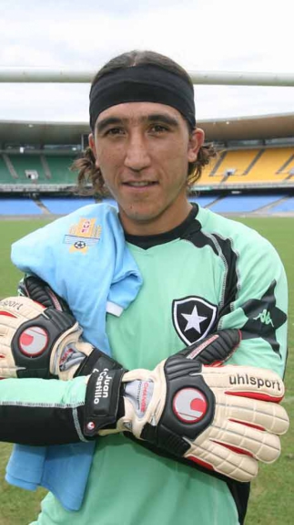 Botafogo 2008: Castillo