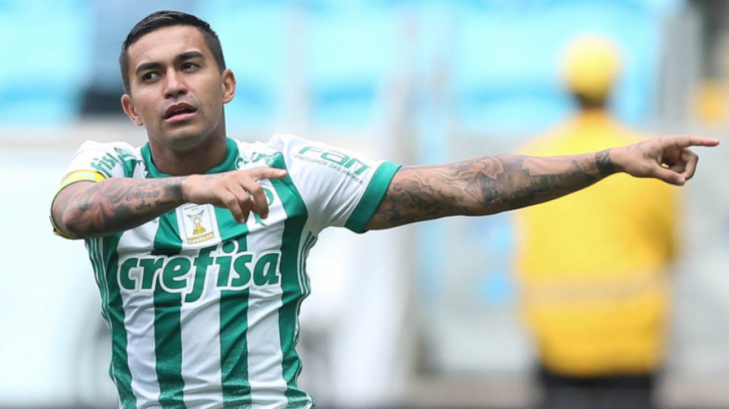 Dudu Palmeiras