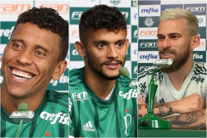 Montagem Palmeiras
