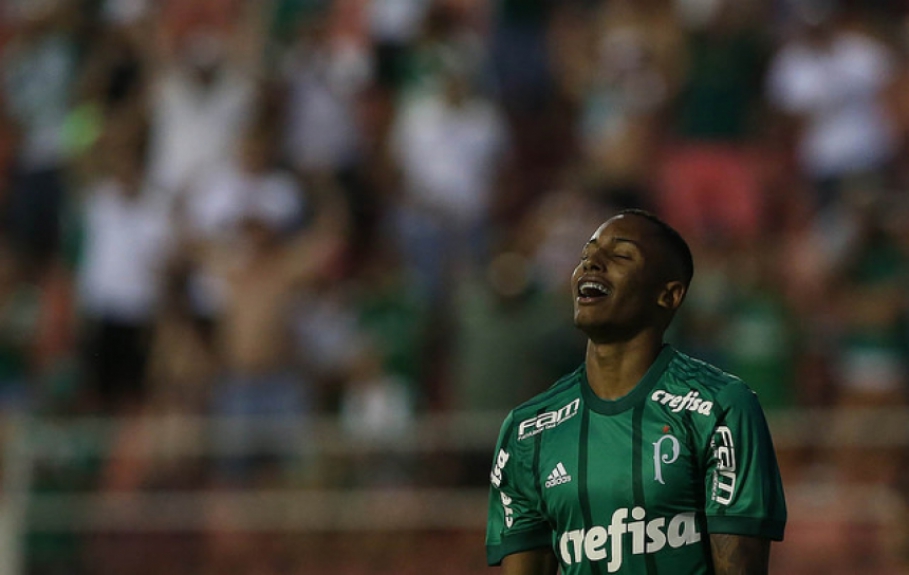 Fernando - Palmeiras