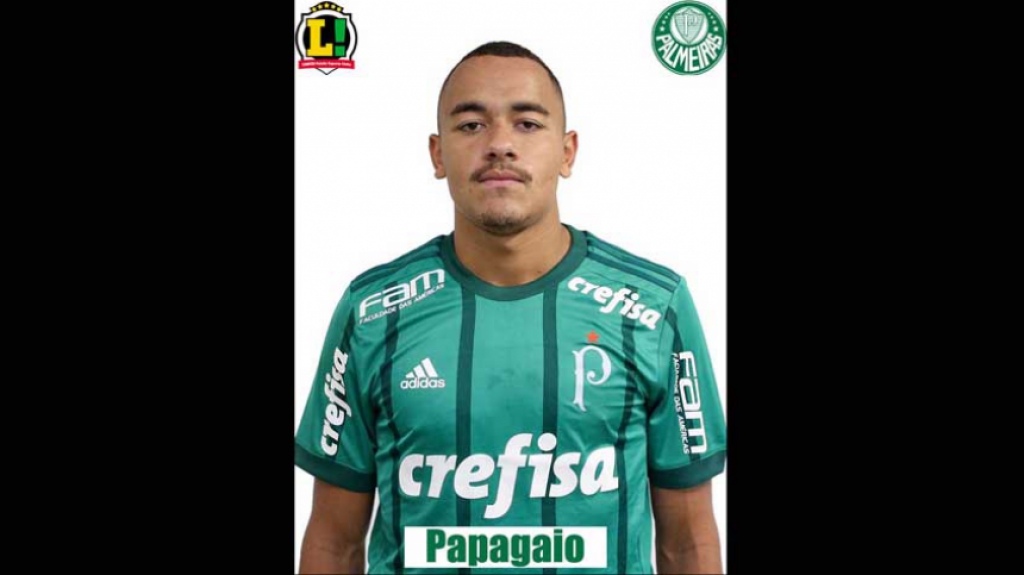 Atuações - Palmeiras - Papagaio