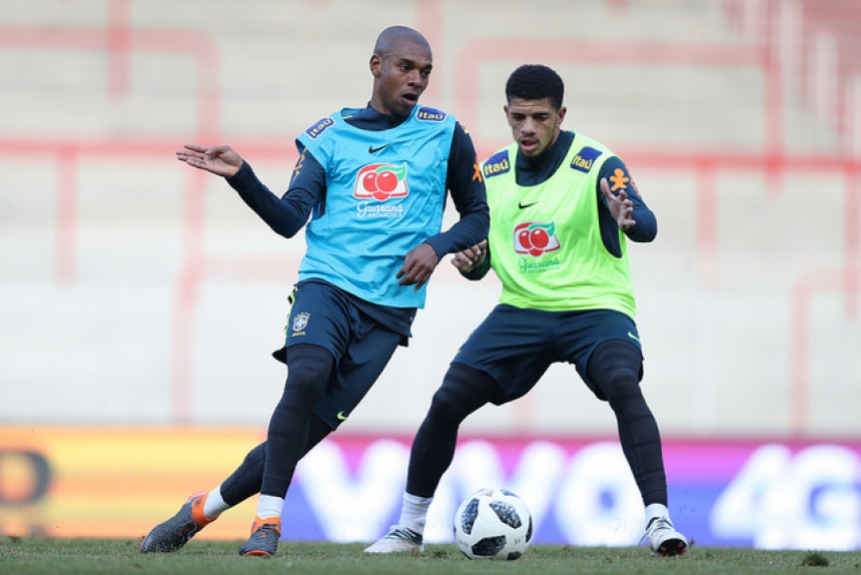 Fernandinho - Seleção